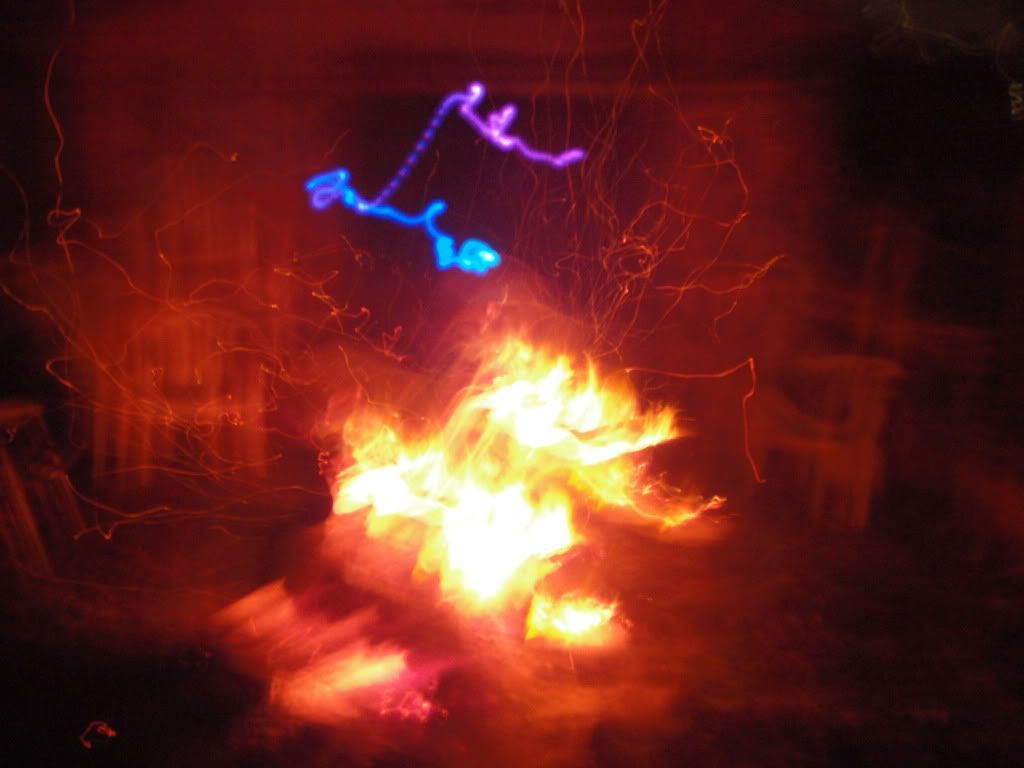 PB290089.jpg