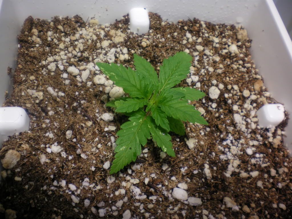 10-17-11006.jpg