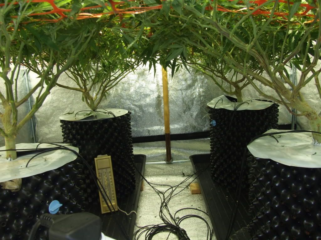 Project2012march17th048.jpg