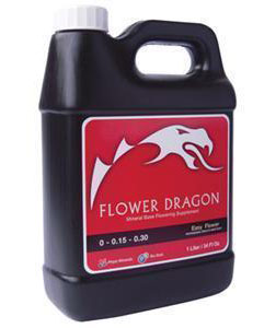 flower-dragon.jpg