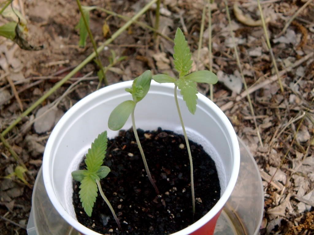 DSCF4826.jpg
