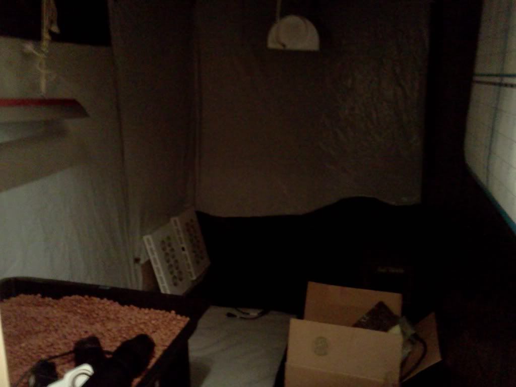 IMG_20111213_171537.jpg