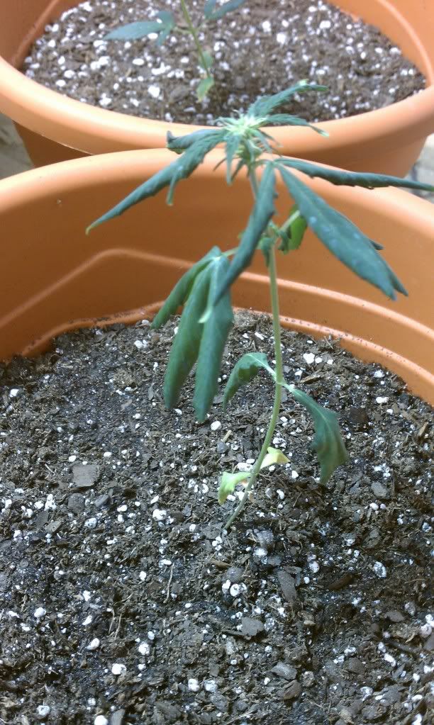 IMAG0591.jpg