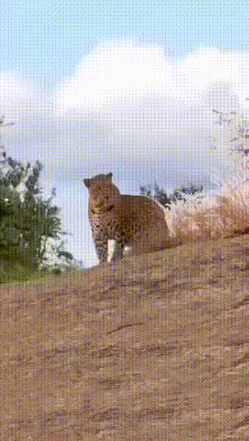 1663866252_20.gif