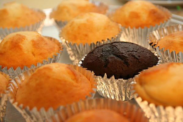 cupcake.jpg
