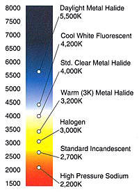 light_chart2.jpg