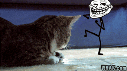 giphy.gif