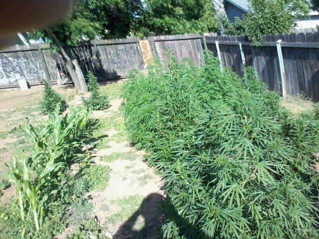 120522_001-1.jpg