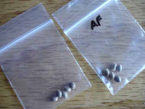 seeds.jpg