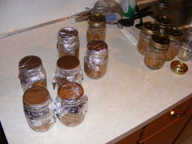 mushroomstuff009.jpg