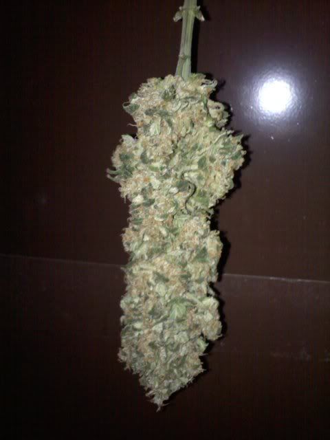 20120324132034.jpg