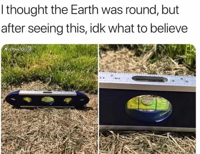 idiots_11.jpg