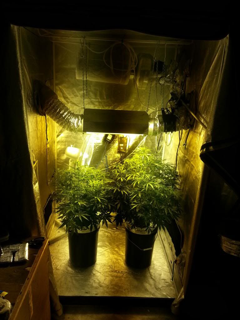 20130101_203539_zps23c2eb79.jpg