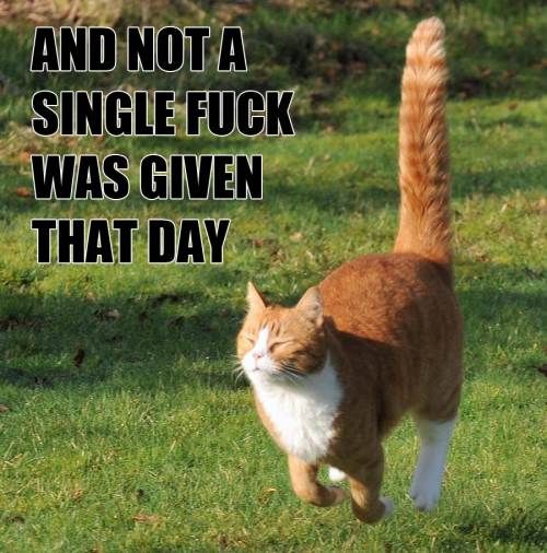 captions-lolz-17.jpg