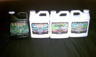 IMAG0130.jpg