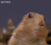 nitro.gif