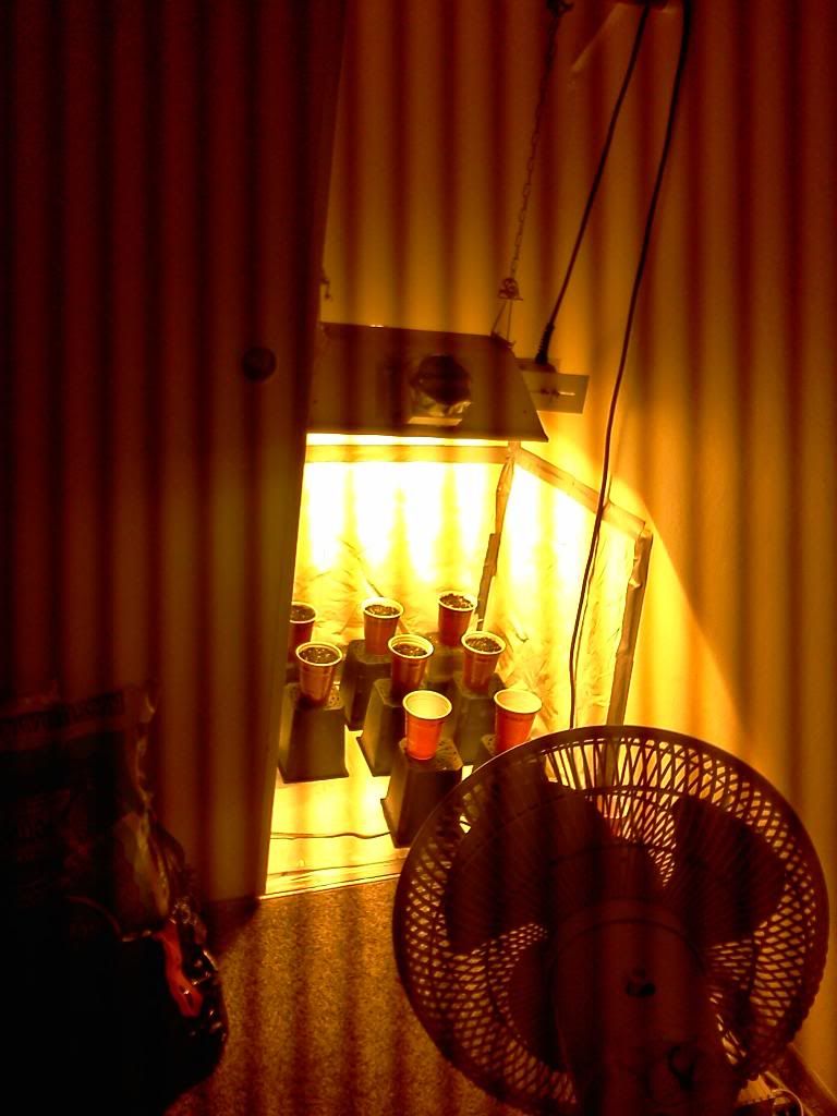 IMG_20121222_101114_zps862ed1cc.jpg