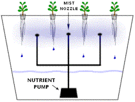 aeroponics.gif