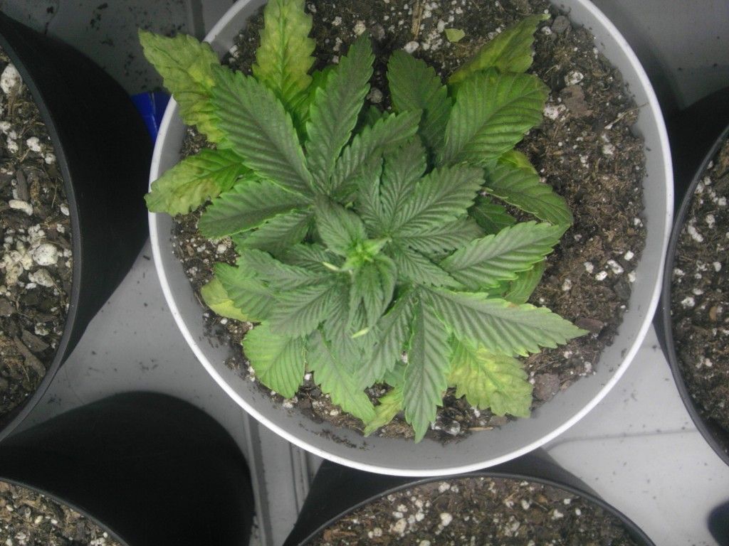 IMAG2897.jpg