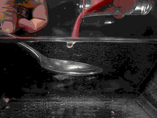LCYA3sq.gif
