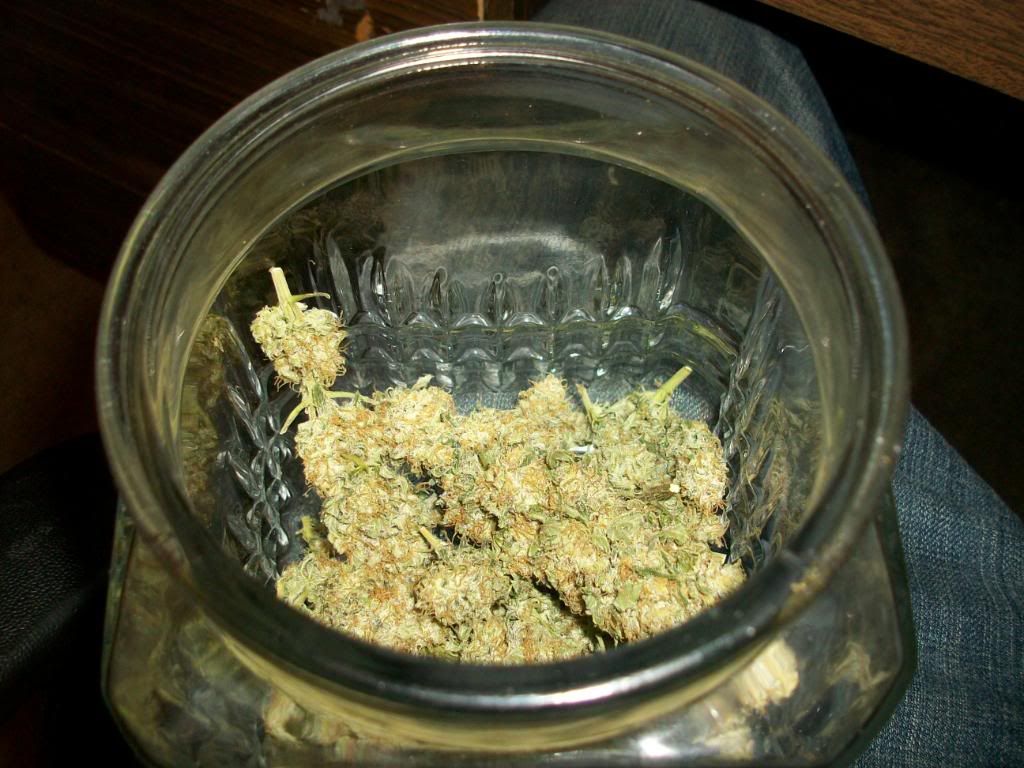 Harvest4Dry4.jpg