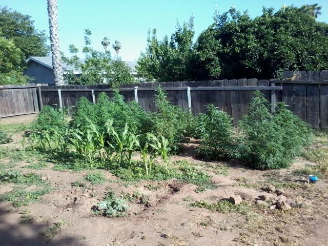 120522_002-1.jpg