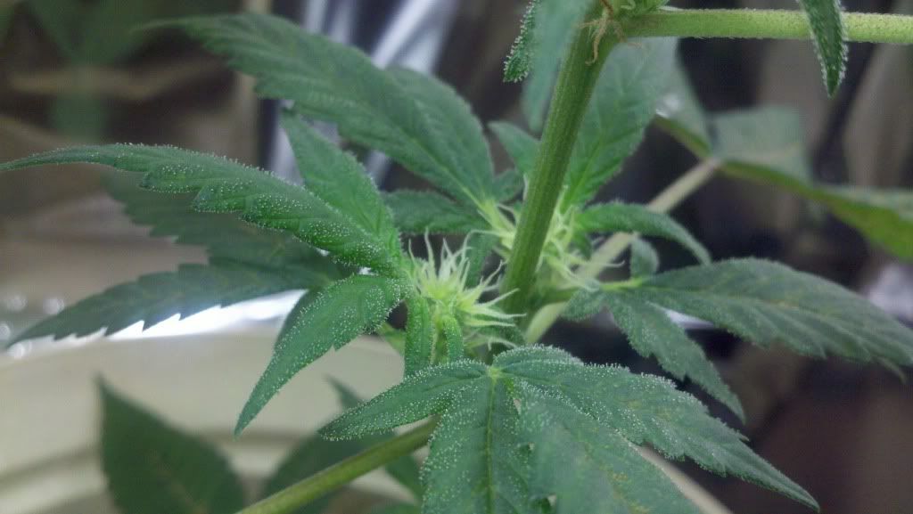 2011-09-25_20-56-23_119.jpg