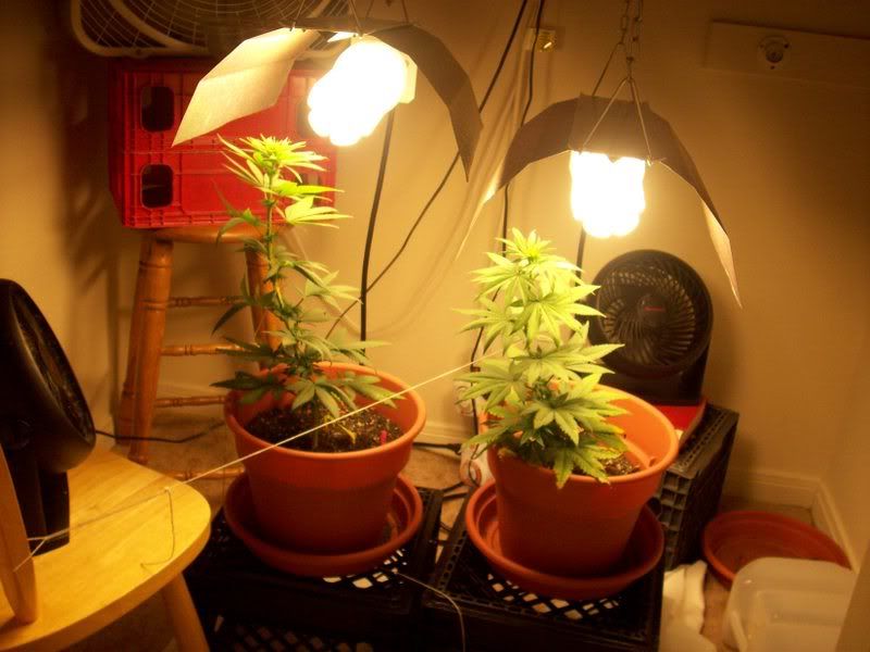 100_0362.jpg