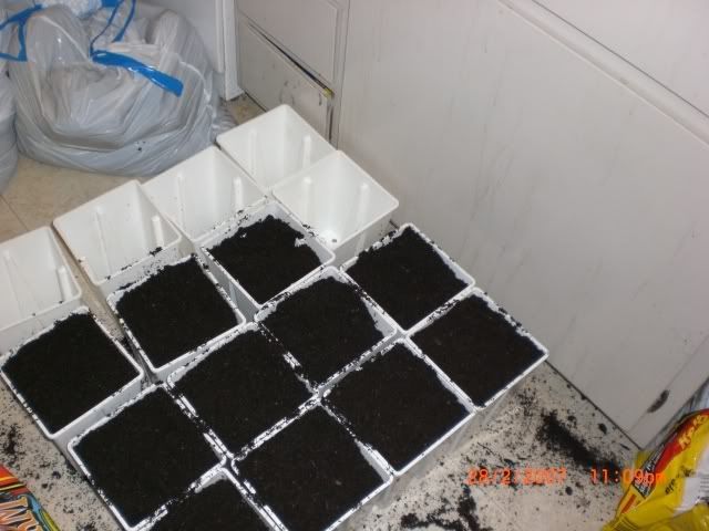 soil.jpg