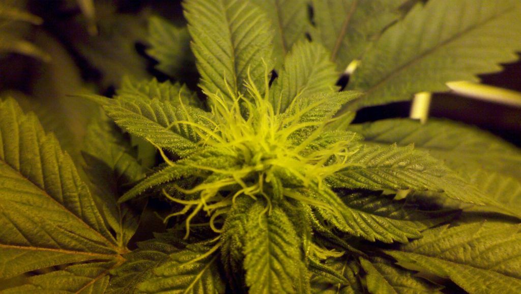2012-01-16_16-59-23_305.jpg