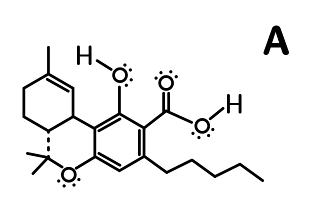 Decarb-FIX-Animated_0.gif