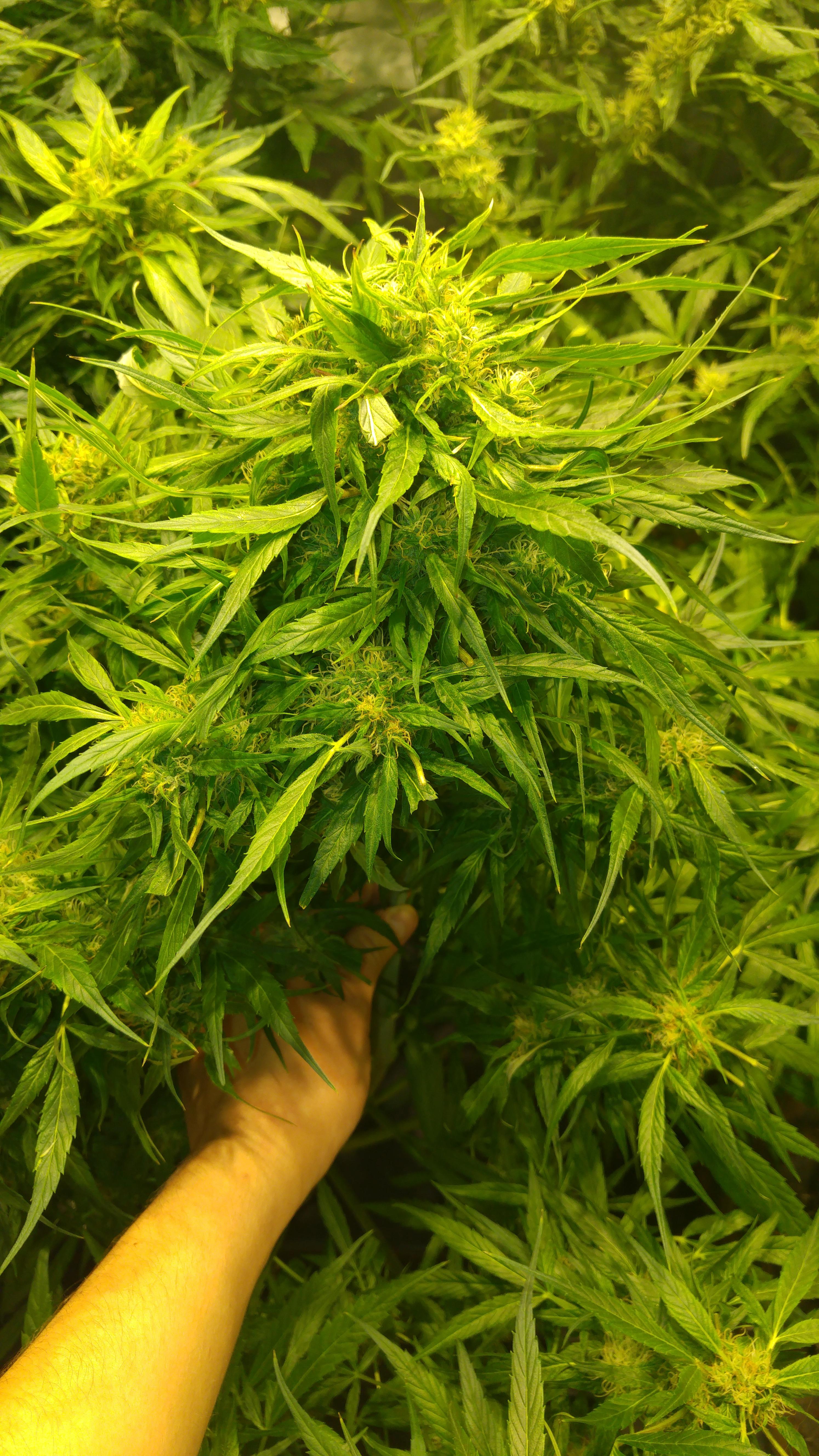 GTNW6QP.jpg
