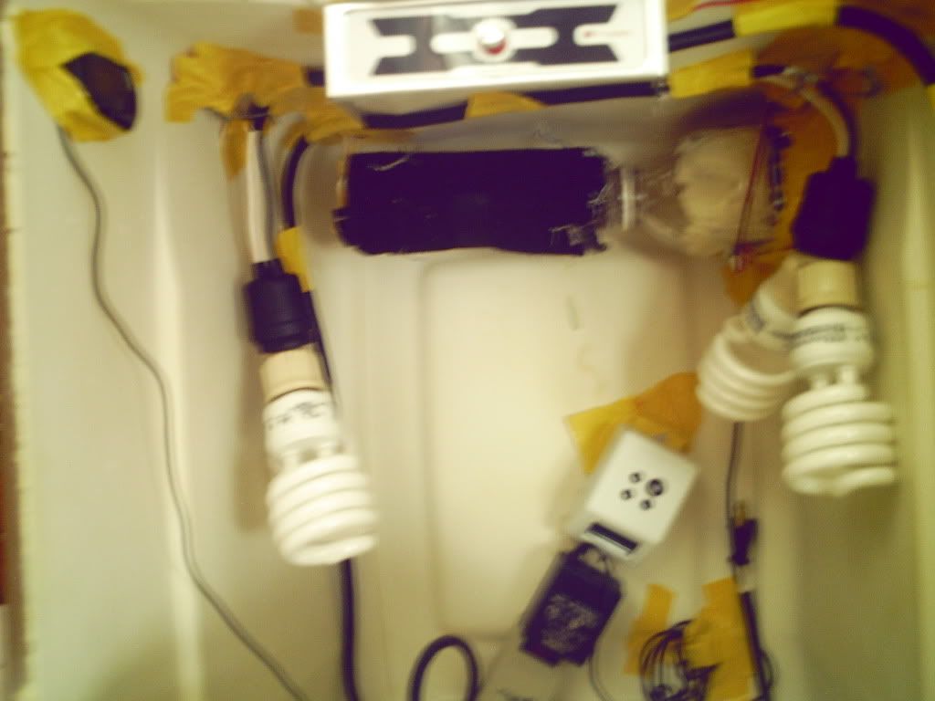 PICT0054.jpg