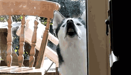 m1yI9.gif