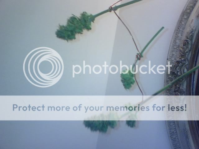 0119090854.jpg