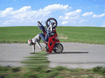 Image66.gif