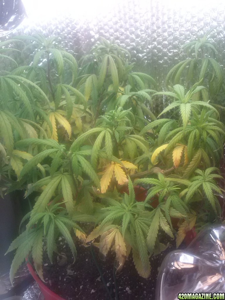 0130141256.jpg