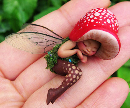 sleeping-mushroom-fairy.jpg