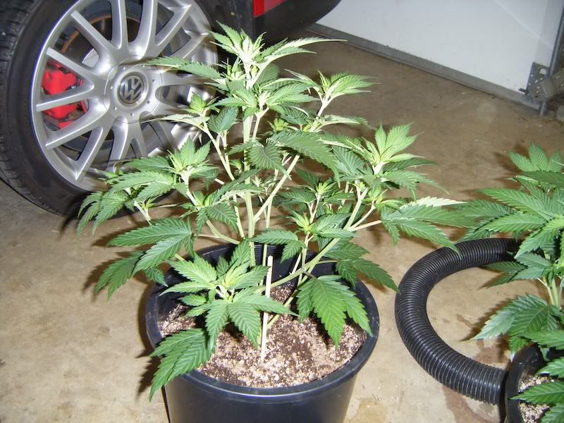 DSCF8144.jpg