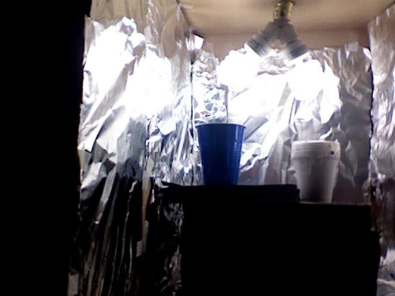 VideoSnapshot-5.jpg