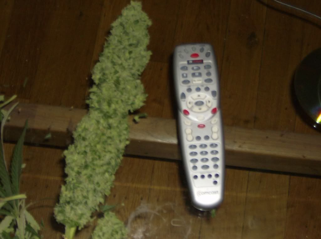 HPIM0997.jpg