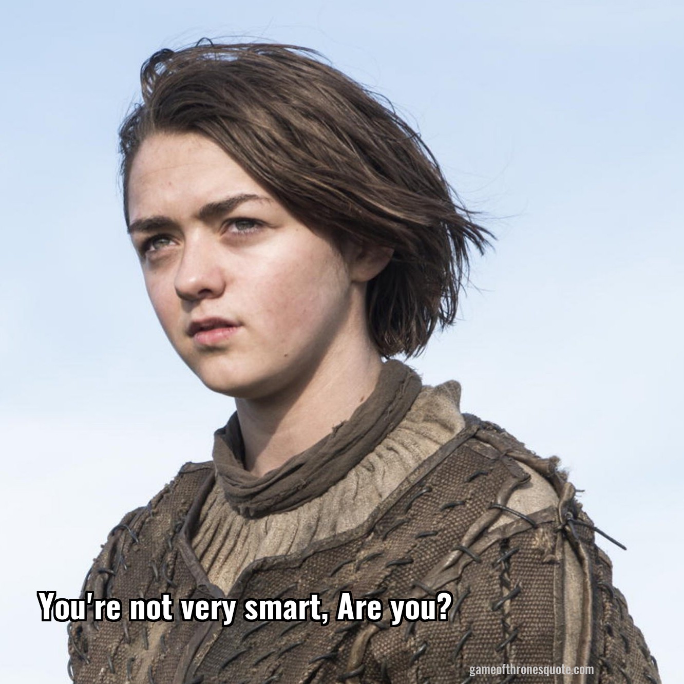 youre-not-very-smart-are-you-le4.jpg