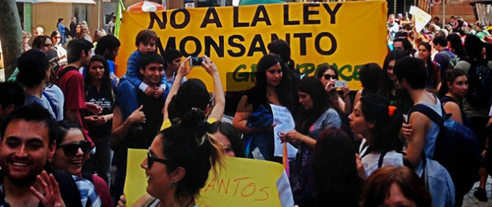 Chile-fights-GMO-and-Monsanto-law-710px.jpg