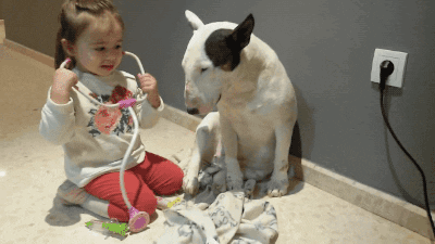 1671637687_25.gif