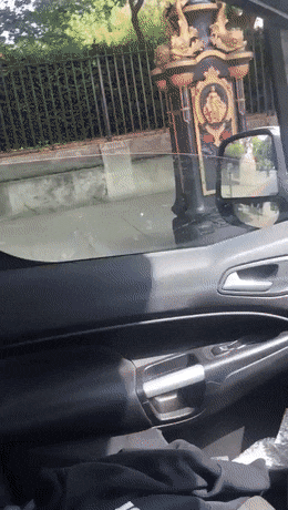 gifs_21.gif