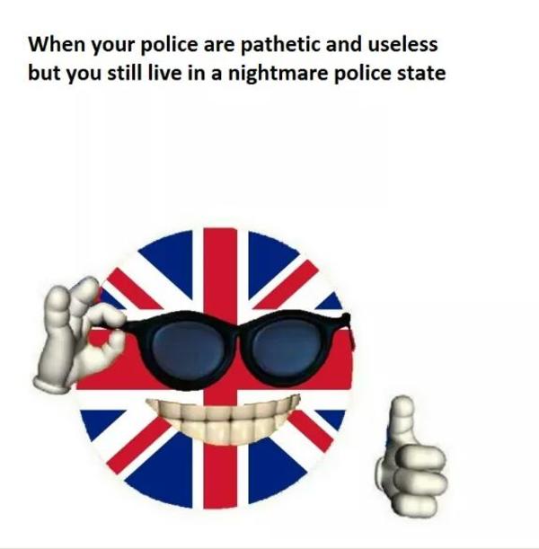 31a.jpg