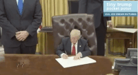 200w.gif