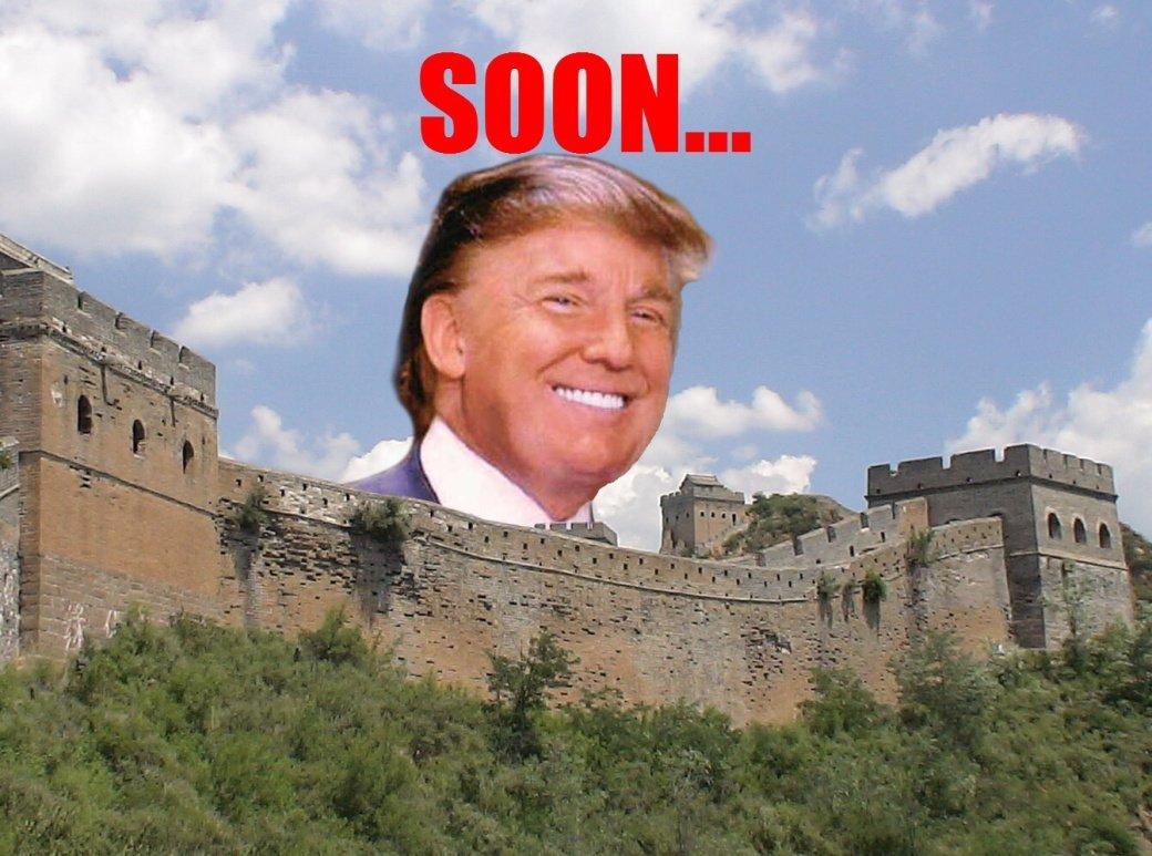d50.jpg