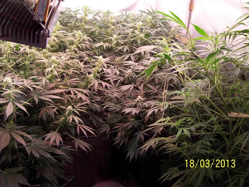 100_3504_zps245159cc.jpg
