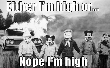 funniest_pictures.jpg